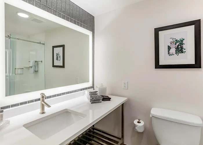 The Inkwell Phoenix, Tapestry Collection By Hilton 4*